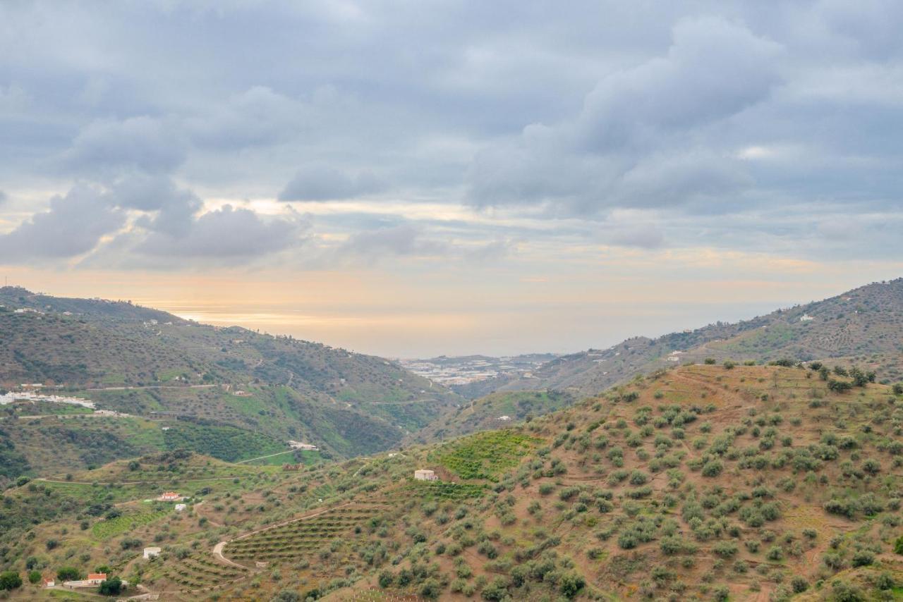 Cortijo La Encina Villa Sayalonga Екстериор снимка